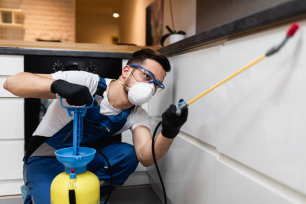 Best Affordable Pest Control Services  in Bargersville, IN