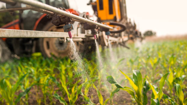 Pest Prevention Services in Bargersville, IN